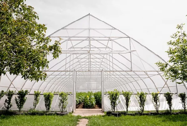 Clear Span Tents